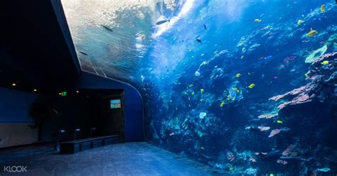 georgia aquarium entry fee